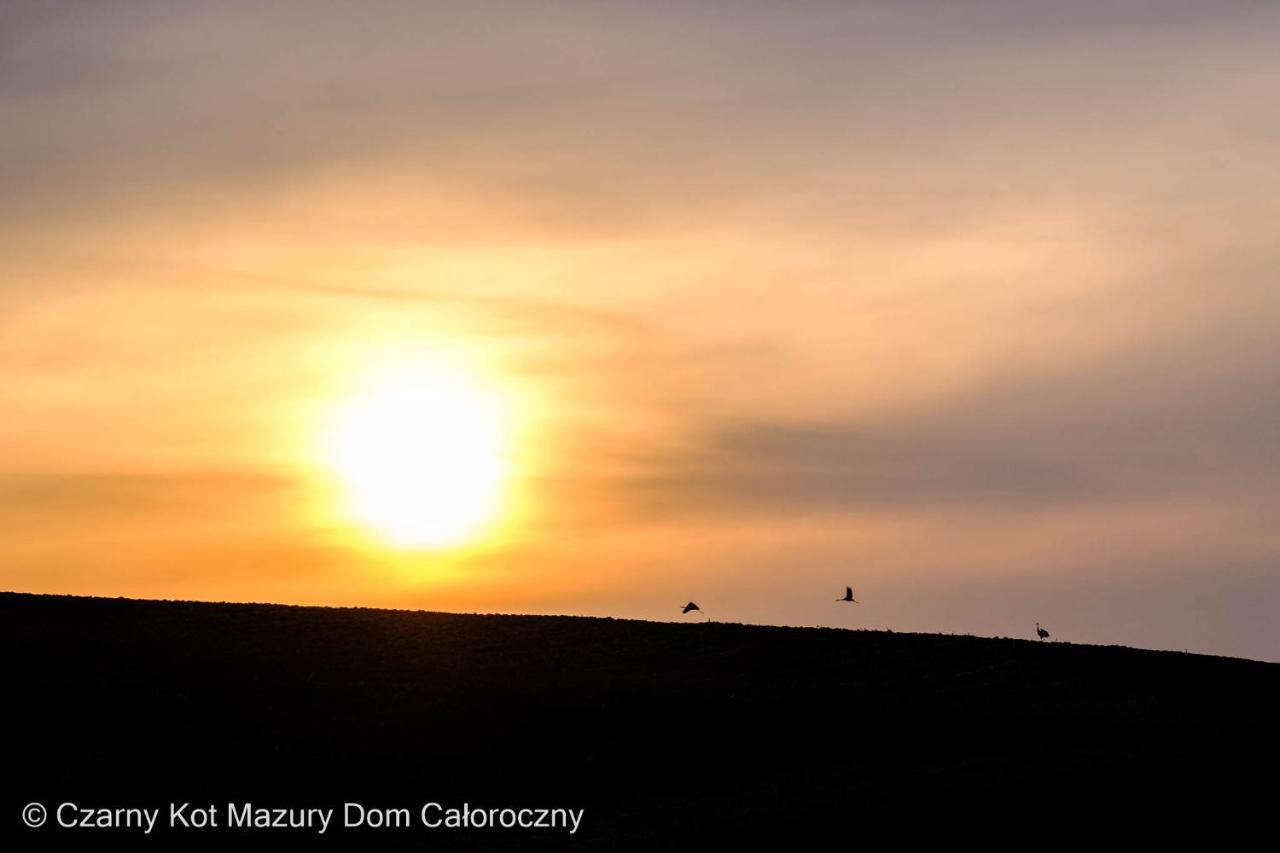 Czarny Kot Mazury Dom Caloroczny Vila Malkinie Exterior foto